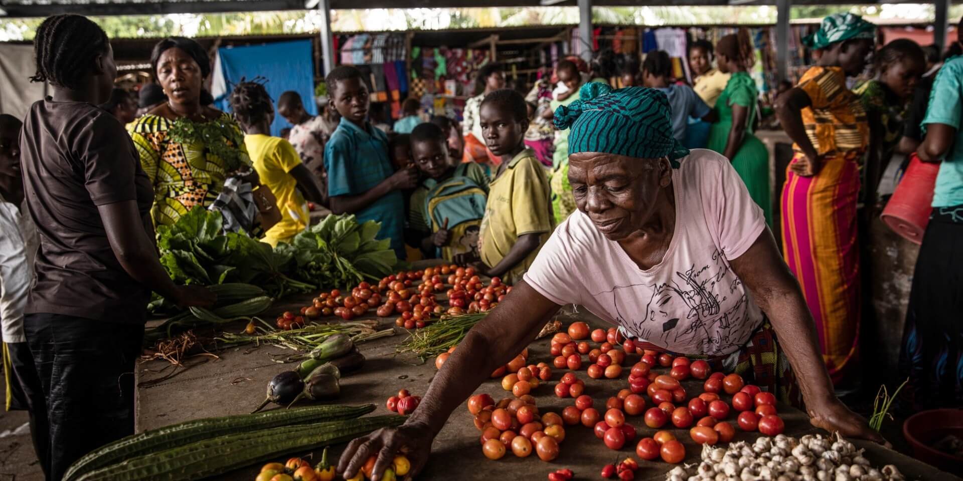 Fighting hunger in third world countries